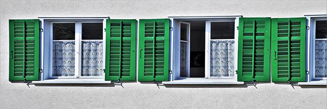 Green Newsletter